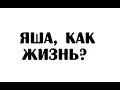 Яша, как жизнь?