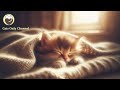 Music to Relax Cats - Cat Purring Therapy, Anxiety Relief, Deep Sleep Music