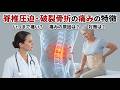 脊椎圧迫・破裂骨折の痛みの特徴-いつまで痛い?痛みが続きやすい人は?痛みを軽減する方法は?-