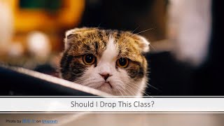 Should I Drop This Class