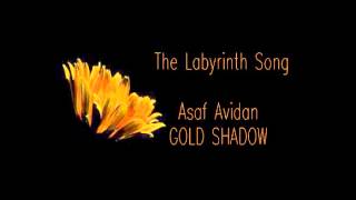 Asaf Avidan | The Labyrinth Song | GOLD SHADOW