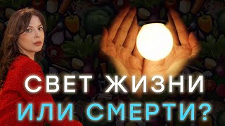 СВЕТ КОТОРЫЙ СОХРАНИТ ВАШУ МОЛОДОСТЬ и ЗДОРОВЬЕ! Какой свет убивает?