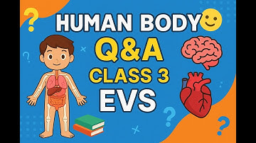 Q&A : The Human Body EVS For Class 3