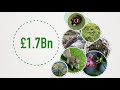 Invasive Species Impact on Waterways and Biodiversity
