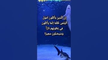 سورة النساء ٠٤:١٠ ترجمة القرآن الكريم تلاوة جميلة