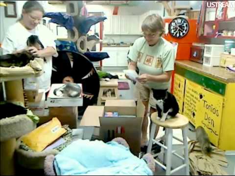 cage free vs organic eggs FFRC Boxes & Updates 7-13-12