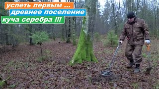 ДОБРАТЬСЯ ПЕРВЫМ и ВЫКОПАТЬ КУЧУ ИМПЕРСКОГО СЕРЕБРА! ПОИСК ЗЛАТА СЕРЕБРА С КОНСТАНТИНОМ - 2 