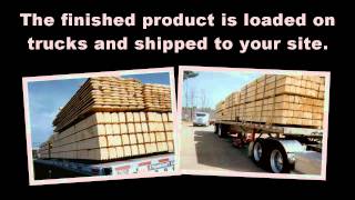 Wholesale Logs For Log Homes And Log Cabins