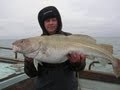 Dungeness Cod Fishing - Friday 4th January 2013