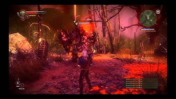 Video/Audio Test - The Witcher 2 Draug Fight