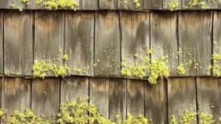 Miltners Property Maintenance Inc, Rochester, NH