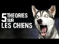 5 THÉORIES SUR LES CHIENS (#90)