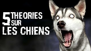 5 THÉORIES SUR LES CHIENS (#90)