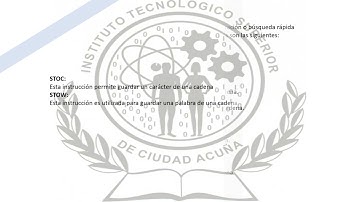 Captura de Cadenas con Formato (ASM)