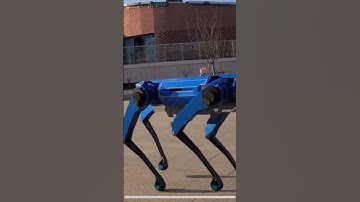 Robot dog gait testing