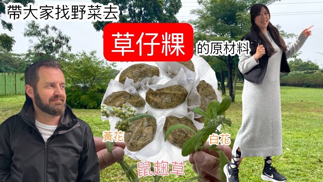 春天限定的古早味 帶外國老公戶外採鼠趜草做草仔粿。