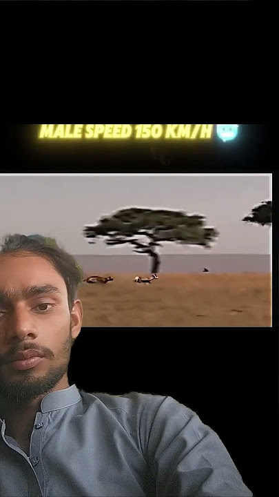 Man 150km Horse 😨 Singing Vedio #funny #memes #music #trending #instagram #postmaloneinsane
