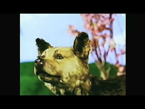 Rocket from the Crypt - On a Rope (Official Music Video) [HQ CD Audio, Video Quality Upgrade]