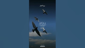 #سورة_النحل بصوت الشيخ #ياسرالدوسري #quran #قرآن #al1thekr #kuran #quran_alkarim