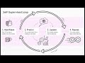 AI Unlocked: AI Basics | S1E07 – Self‑Supervised Learning (Key Idea)