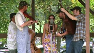 Double Bass, Banjo, Guitar, Fiddle &amp; Vocals Performance by The Hillbilly Gypsies: John Hardy