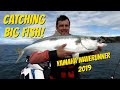 BIG fish on a 2019 Yamaha FX HO Waverunner! and SQUID jet ski fishing!