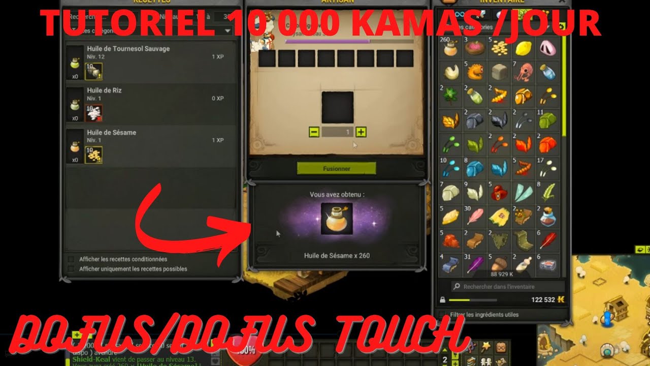 Video De Dofus Comment Se Faire Des Kamas