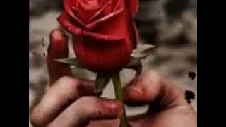 Memories of rose. SID #vtoyz