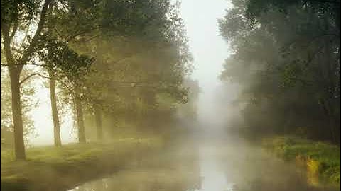 سورة الناس بصوت القارئ معتز الغنام