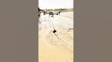 Drones in Rice Fields! So Cool! #drone #shorts