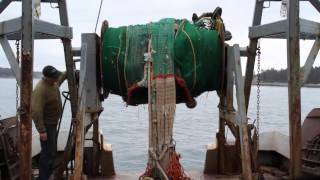 Maine Coast Fishermen's Association
