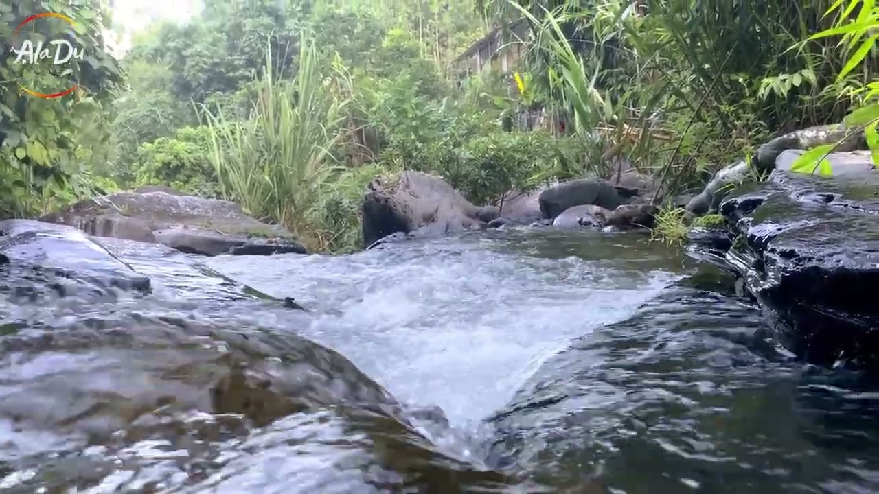 Relaxing Music & Soft Nature Sounds: Relaxing Piano Music, Sleep Music, Peaceful Music, Spa