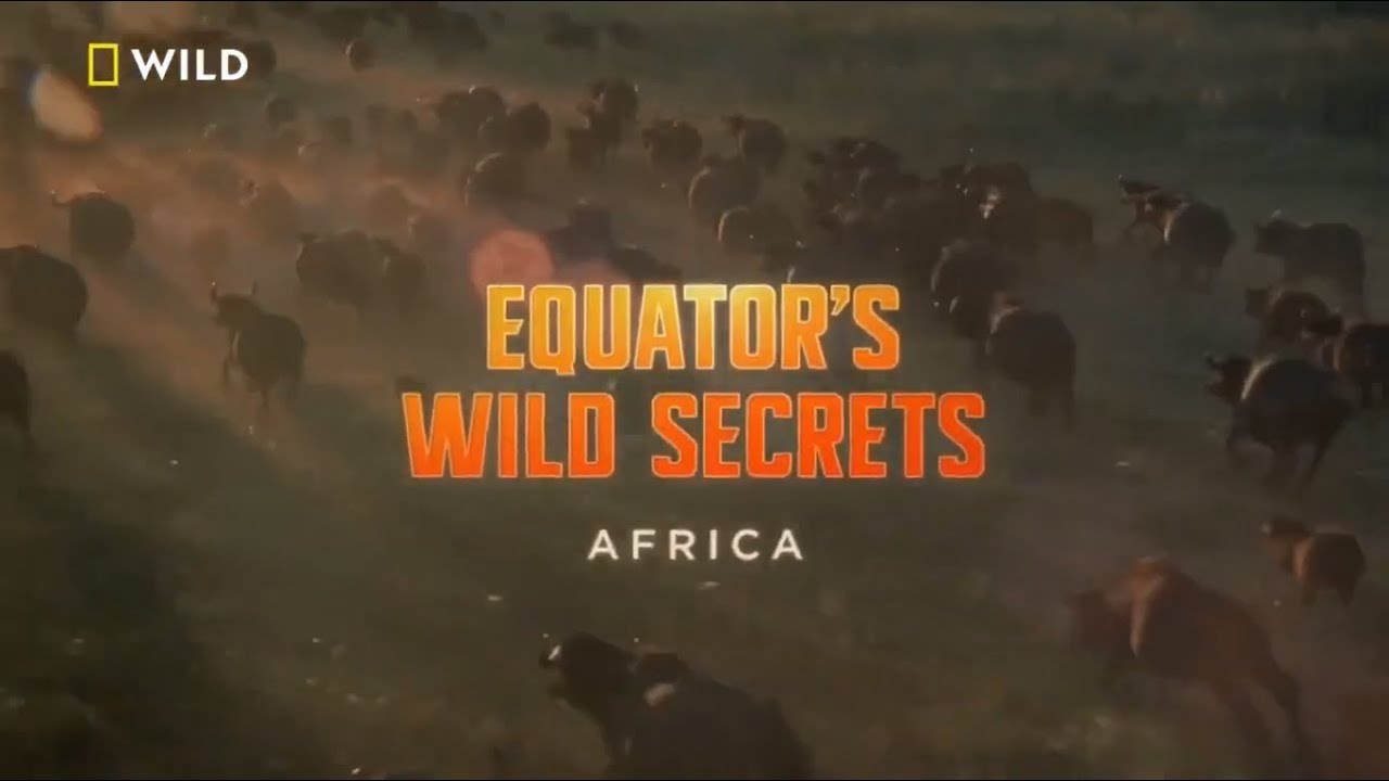 ⁣Ekvator'un Vahşi Etoburları | Belgesel izle