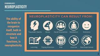 4. Foundations of TIC: The Science, Part 1