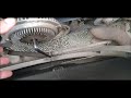 Mercedes vito how to Change water Pump and fan belt