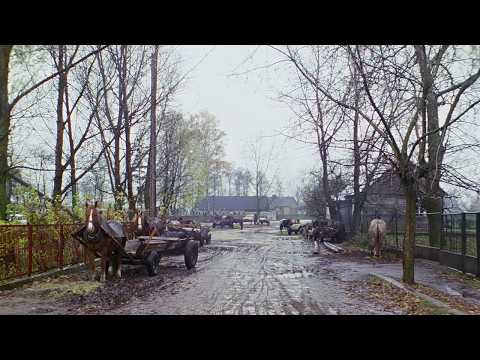Typowa polska wieś