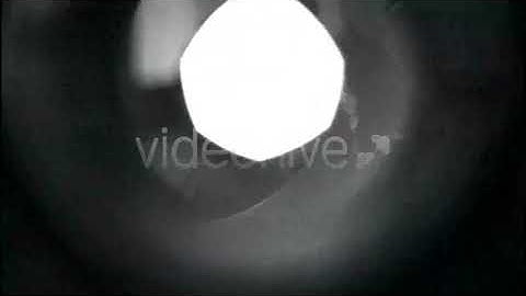 TV No Signal White Noise Transitions 5-Pack | Motion Graphics - Envato elements