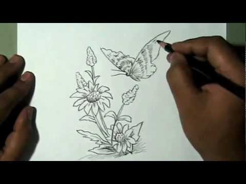 Featured image of post Beautiful Flower And Butterfly Drawing