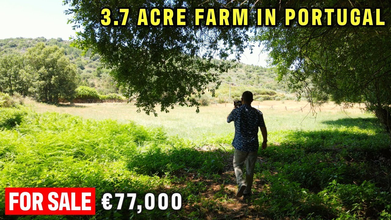 Farm Life in Portugal Starts Here | 3.7 Acres with Stream & Forest