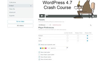 How to remove the title from a Vimeo Video