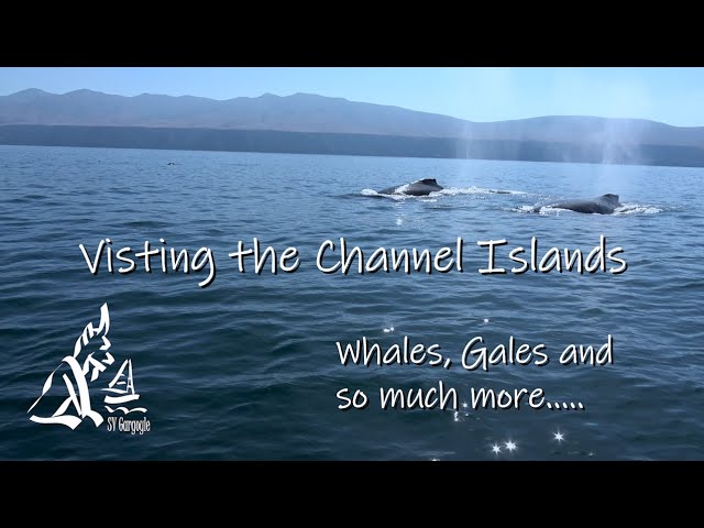 Sailing California’s Channel Islands Ep. 5