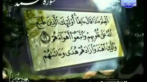 روائع التلاوات - ياسين الجزائري - سورة محمد