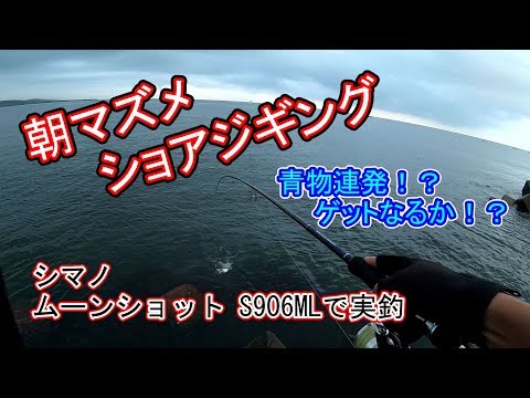 ショアジギング】青物連発！？ゲットなるか！！新調したシマノ ムーン