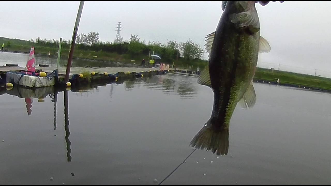 埼玉県の釣り堀11選 その場で食べれるか 子供向けやニジマスがいる場所 エンタメlab
