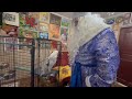 Снегурочка подарила попугаю Жорику новогодний танец!