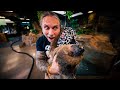 I GOT A SLOTH!!! MEET DROGO!! | BRIAN BARCZYK