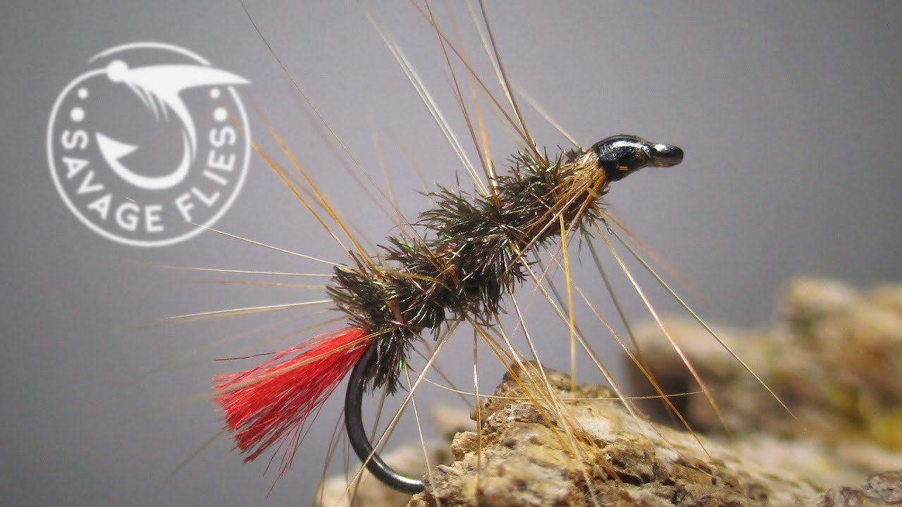 Tying Rolt's Witch (a semi-forgotten U.K. fly pattern) 