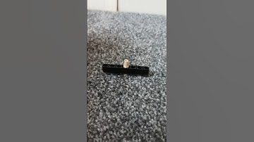 how to make a Lego fidget spinner 2 pieces