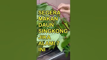 Segera Makan Daun Singkong Jika Alami 7 Hal Ini #permanacuy