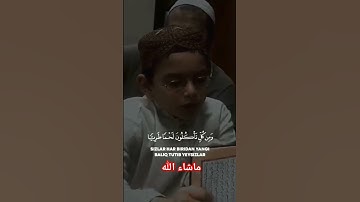 #القرآن_الكريم #سورة #آيات #المغرب #الجزائر #تونس #ليبيا #لبنان #مصر #السعودية #قطر #الكويت #اليمن